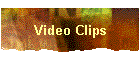 Video Clips