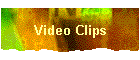 Video Clips