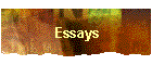 Essays